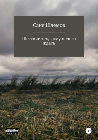 Саня Шлемов, Шествие тех, кому нечего ждать…
